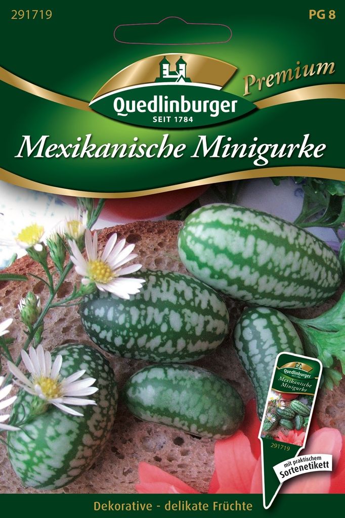 Quedlinburger Saatgut - Mini-Gurken Mexikanische - Samen - 291719