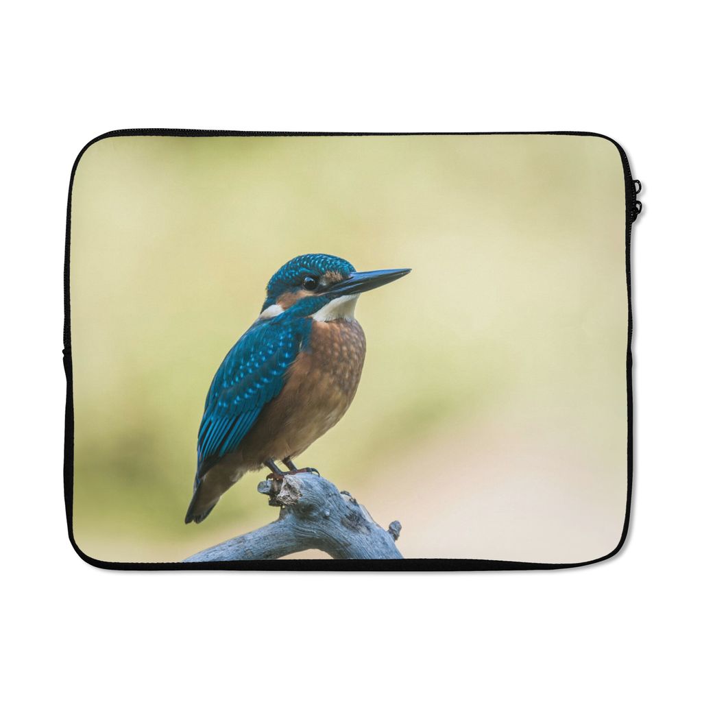 MuchoWow Laptop Hülle 15 Zoll Eisvogel - Zweig - Vogel Laptoptasche - Laptoptasche - Sleeve - Rundum-Schutz