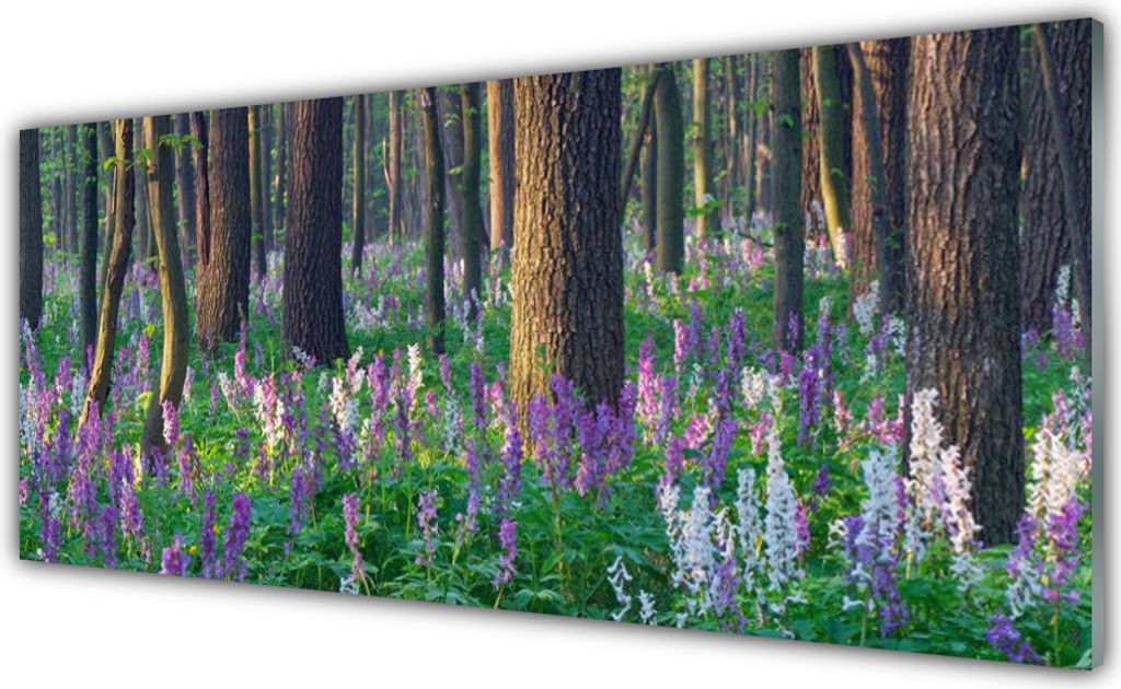 Glasbilder 125x50 Wandbild Druck auf Glas Wald Natur