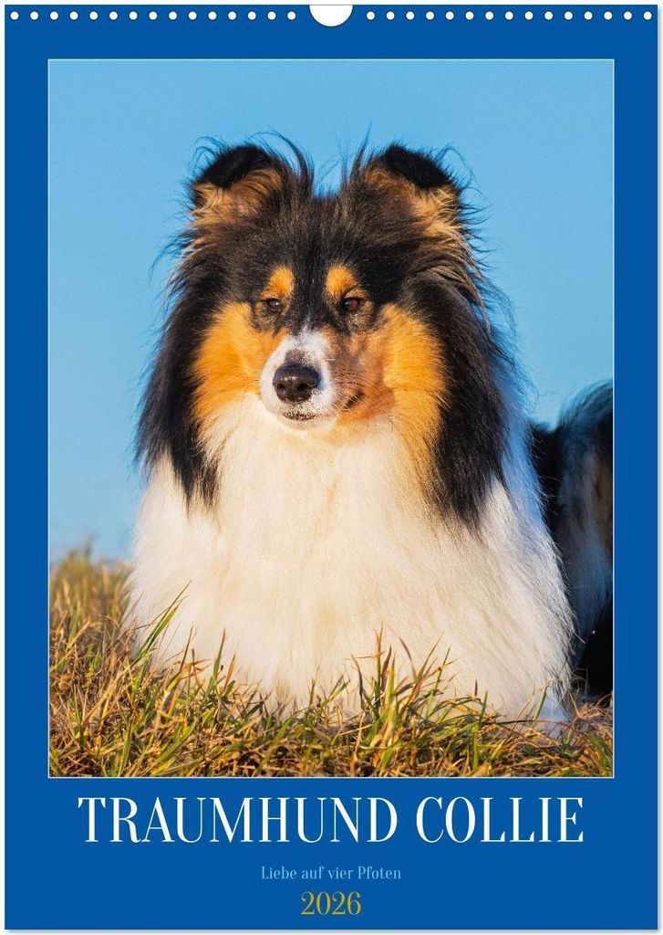 Traumhund Collie - Liebe auf vier Pfoten (Wandkalender 2026 DIN A3 hoch), CALVENDO Monatskalender