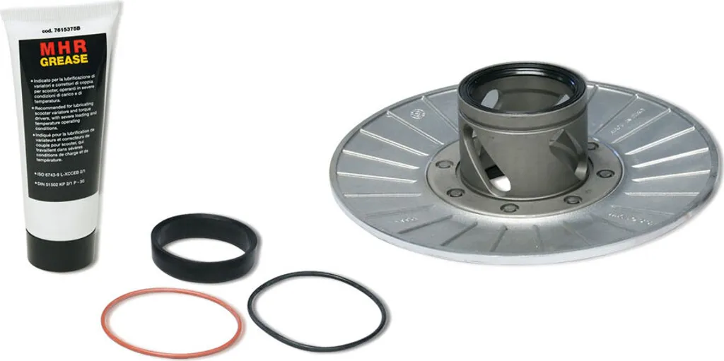 Supprimez les trous à l'accélération avec le Malossi MHR Torque Driver