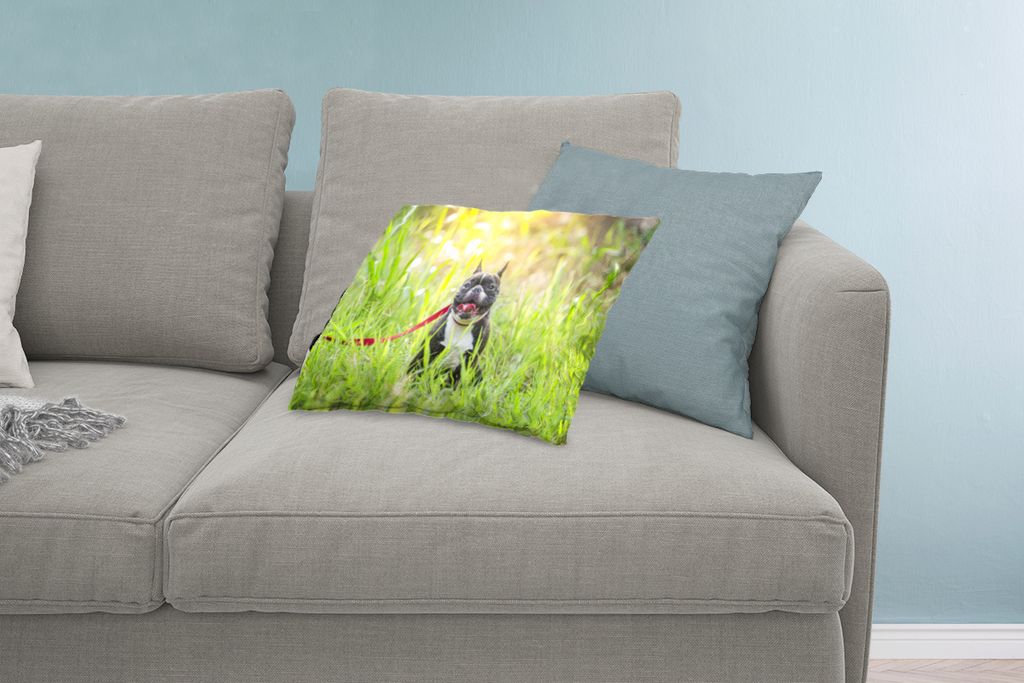MuchoWow Zierkissen Sofakissen Wohnzimmer Dekokissen 60x40 cm Französische Bulldogge - Gras - Hundeleine - Kopfkissen - Polster mit Foto