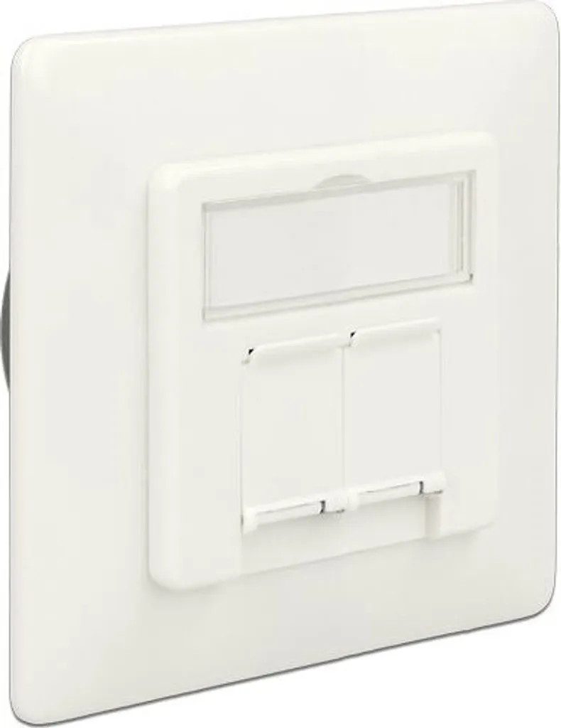 Installation réseau maison Prise Cat.6A double RJ45 Delock 86195 LSA