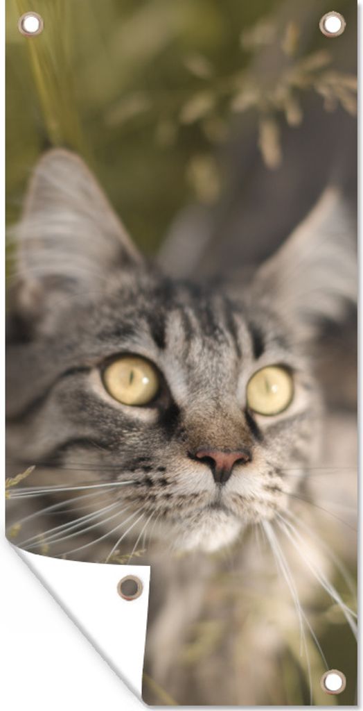 MuchoWow 80x160 cm Outdoor-Poster Gartendeko Sichtschutz Garten Poster für den Garten Eine Maine Coon-Katze im hohen Gras