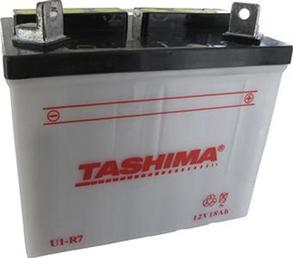 Batterie Blei Tashima für Aufsitzmäher 12V, 18Ah. L: 195, B: 130, H: 185mm, + rechts. (ohne Säure geliefert). - Batterie an