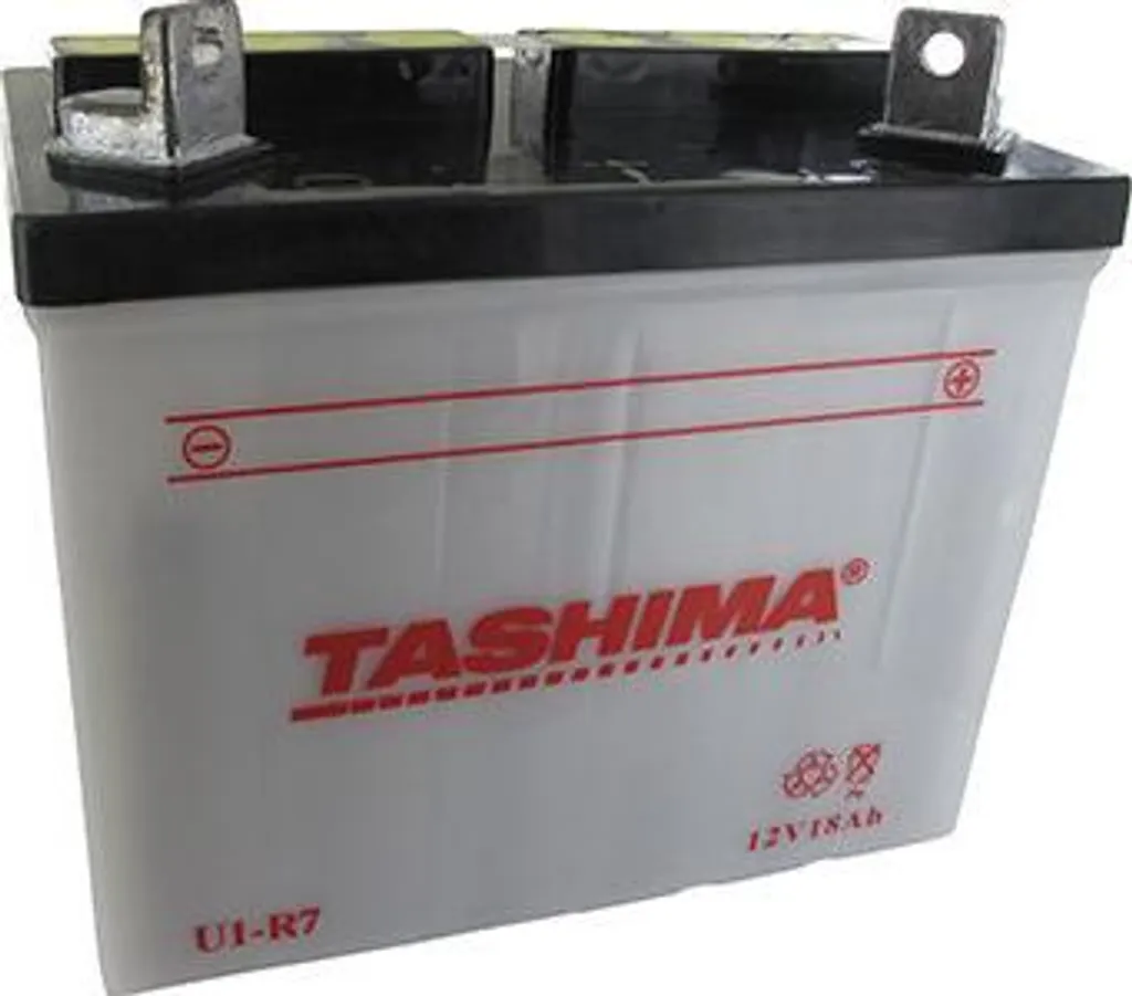 Batterie de Tondeuse Autoportée 12V 18Ah au Plomb Tashima