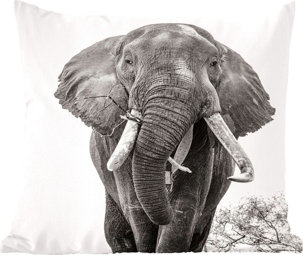 MuchoWow Zierkissen Sofakissen Wohnzimmer Dekokissen 60x60 cm Elefant - Porträt - Tiere - Schwarz und weiß - Sitzfläche - Foto Polster