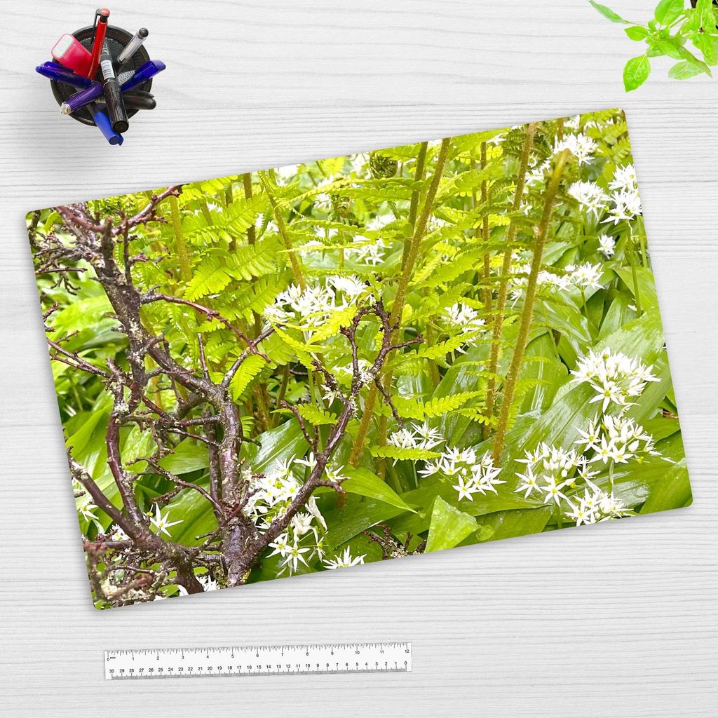 Schreibtischunterlage für Kinder und Erwachsene - Bärlauch mit Ast - 60 x 40 cm - premium Vinyl - Germany
