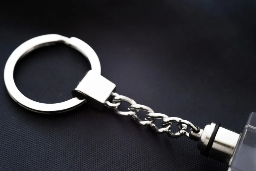 Regalo Unico Cane da Acqua Spagnolo Portachiavi Cristallo LED Art-Dog - 8