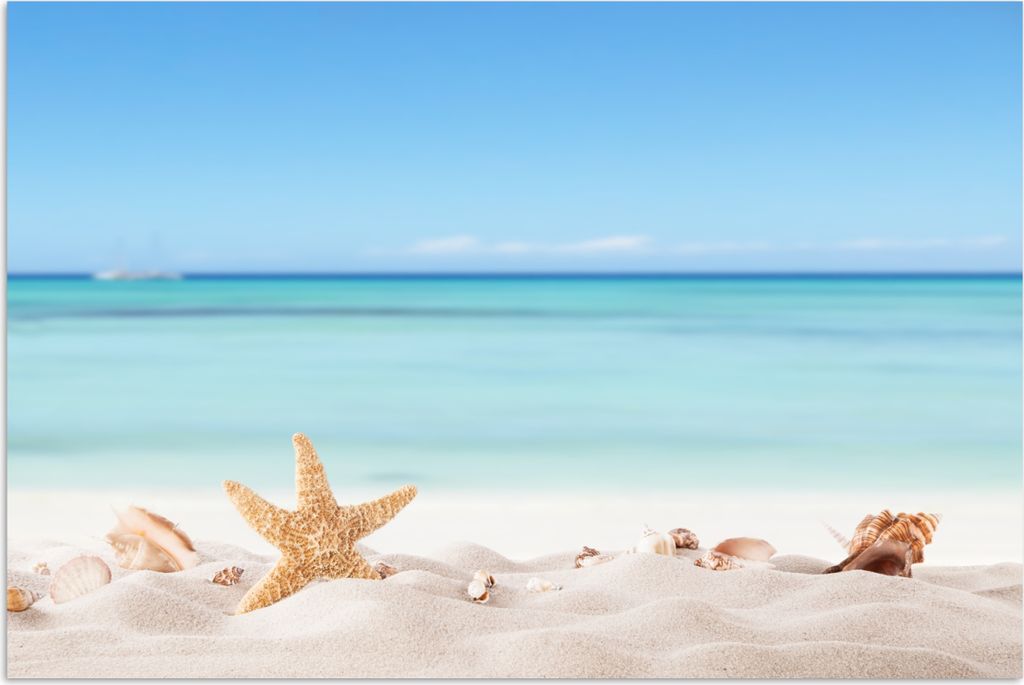 MuchoWow Poster Strand - Meer - Muscheln - Seesterne 30x20 cm - Plakate - Print