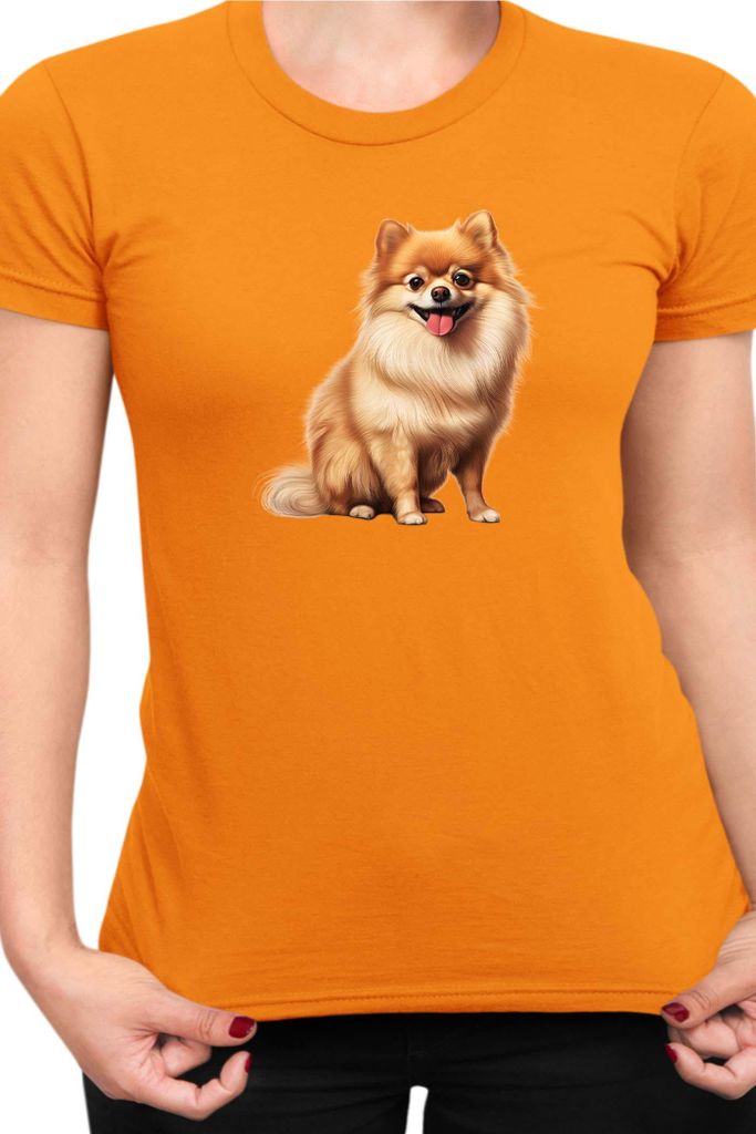 Damen T-Shirt Dogs Breeds Pomeranian Dog Breed 006, Lady 2XL / Orange