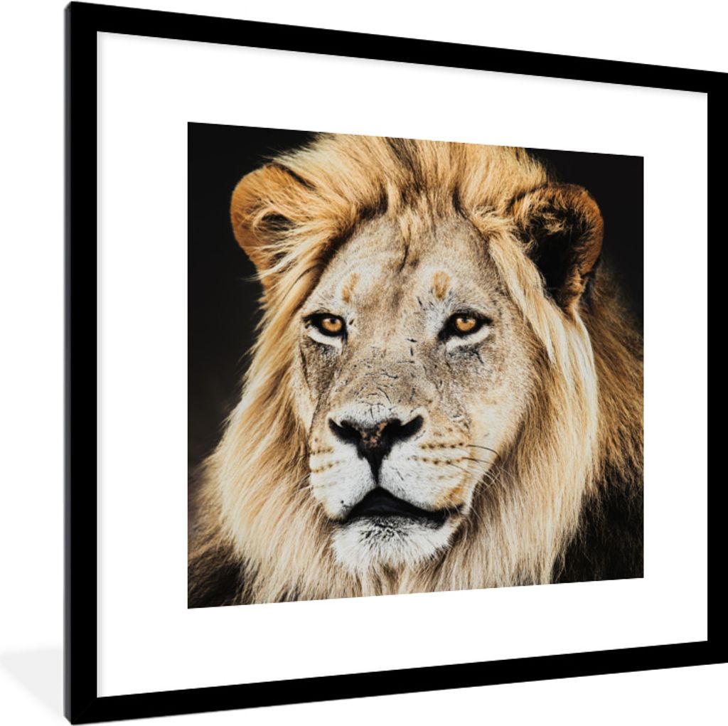 MuchoWow MuchoWow Gerahmtes Poster Löwen - Farben - Raubtier 40x40 cm - Poster mit zchwarzem Bilderrahmen - Poster - Plakat im Rahmen