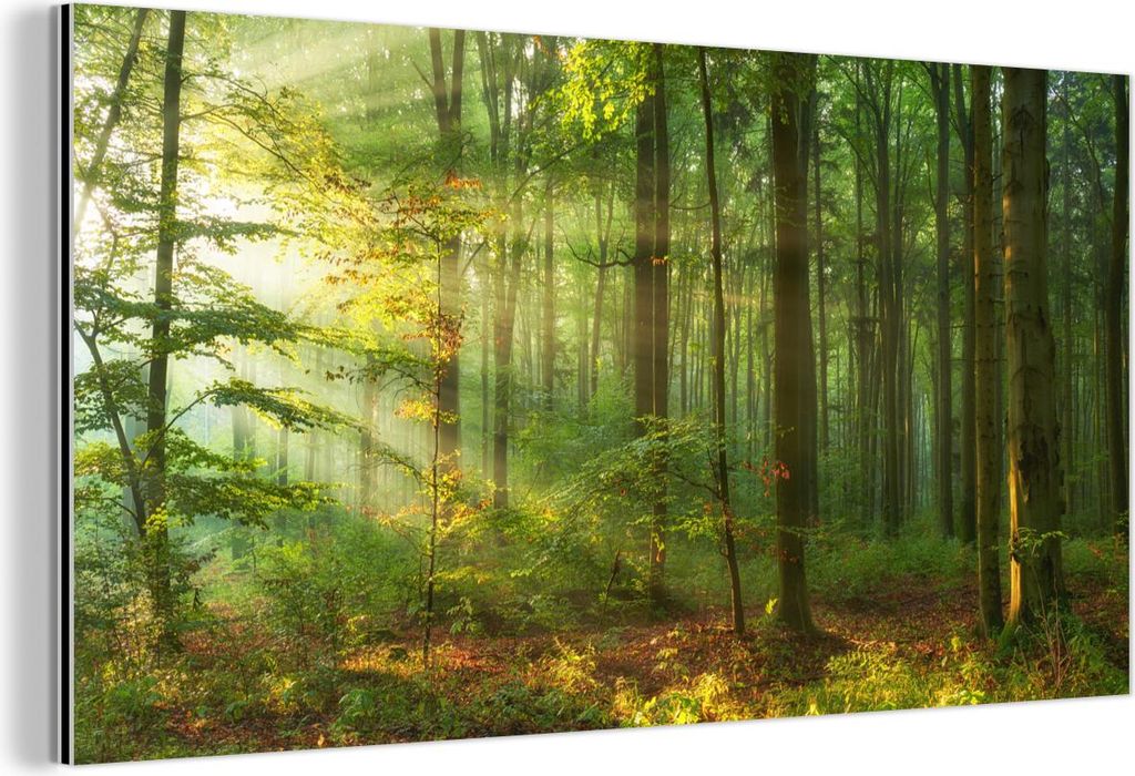 MuchoWow Wanddekoration Metall Metallbild Wandkunst 80x40 cm Sonne - Wald - Bäume - Natur - Herbst MuchoWow Aluminium Gemälde - Wanddekoration - ...