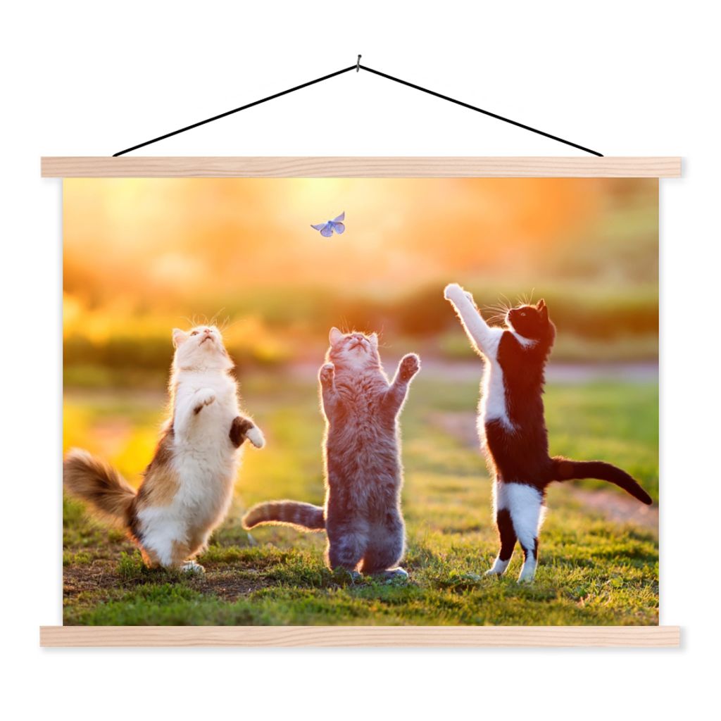 MuchoWow Textilposter Katzen - Schmetterling - Sonnenuntergang - Gras - Natur 60x45 cm mit holzfarbenen Rahmen - Bild