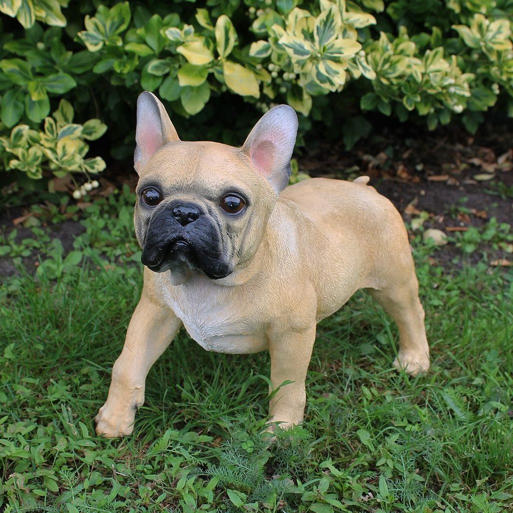 Melody Jane Puppenhaus Französische Bulldogge – Set Mit 3 Miniatur-Hunden (stehend, Sitzend, Liegend), 1:12