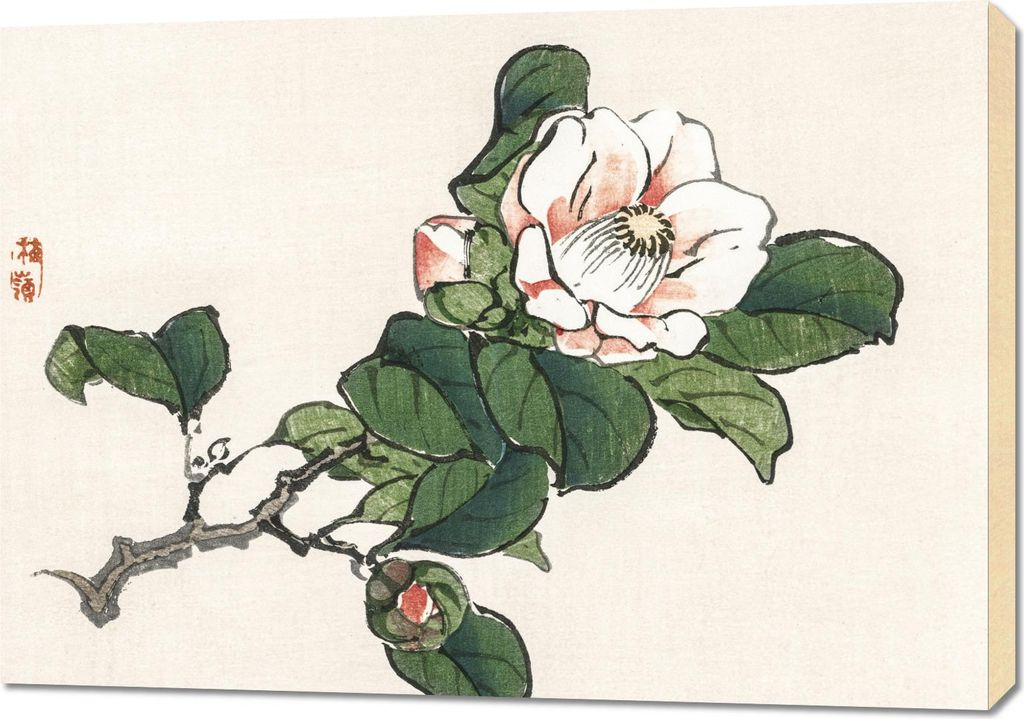 Bild 100x70cm Camelia, Kōno Bairei Japanischer Vintage für das Wohnzimmer