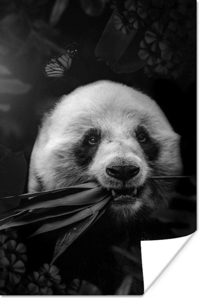 MuchoWow Poster Panda frisst Blätter im Dschungel - schwarz und weiß 120x180 cm - Kunstposter