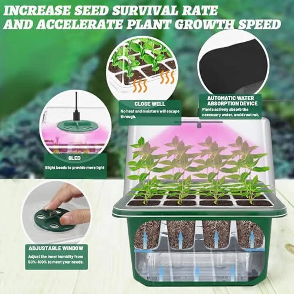 Veekay Kit Mini Serra 6 Pezzi - Design Elegante per Germinazione Casa - 4