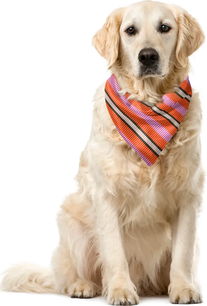 ABAKUHAUS Bandana Pet Geometrica Rosa Salmone - Trendy Look 55x55 cm