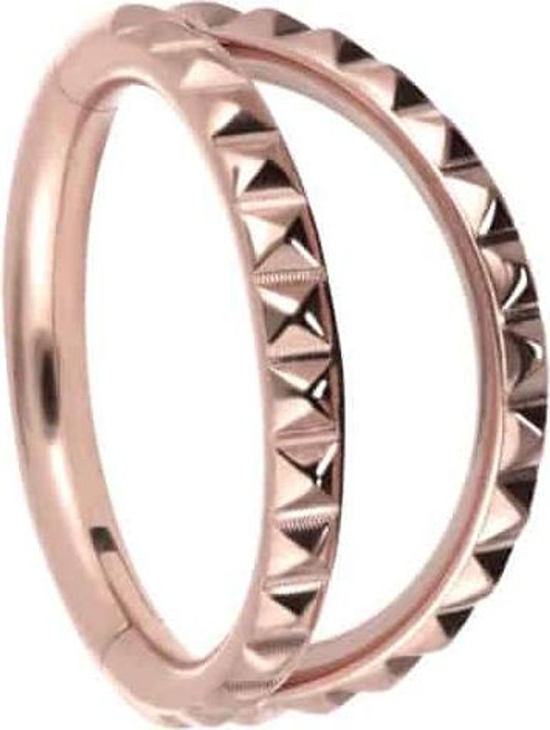 Ohrpiercing, Nasenpiercing, Septum Piercing Titan Segmentring Clicker 2 RINGE + NIETEN RoséGold Innendurchmesser: 8 mm