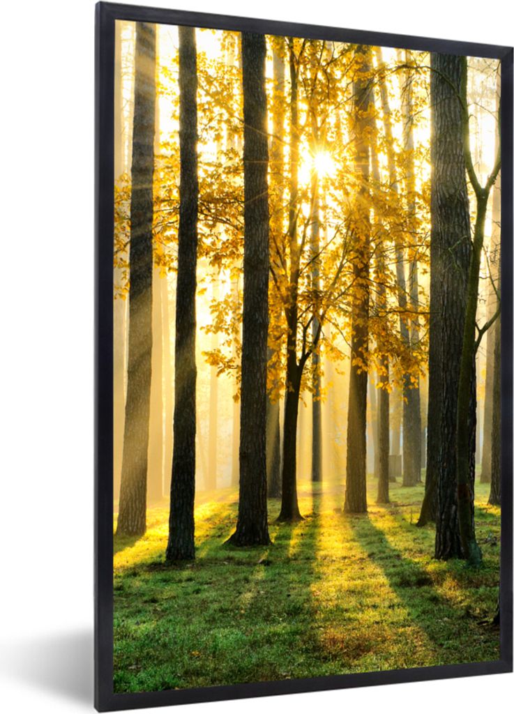 MuchoWow Gerahmtes Poster Wald - Sonne - Bäume - Gras - Landschaft - Natur 40x60 cm - Poster mit Schwarzem Bilderrahmen Wandposter Rahmen Foto B...