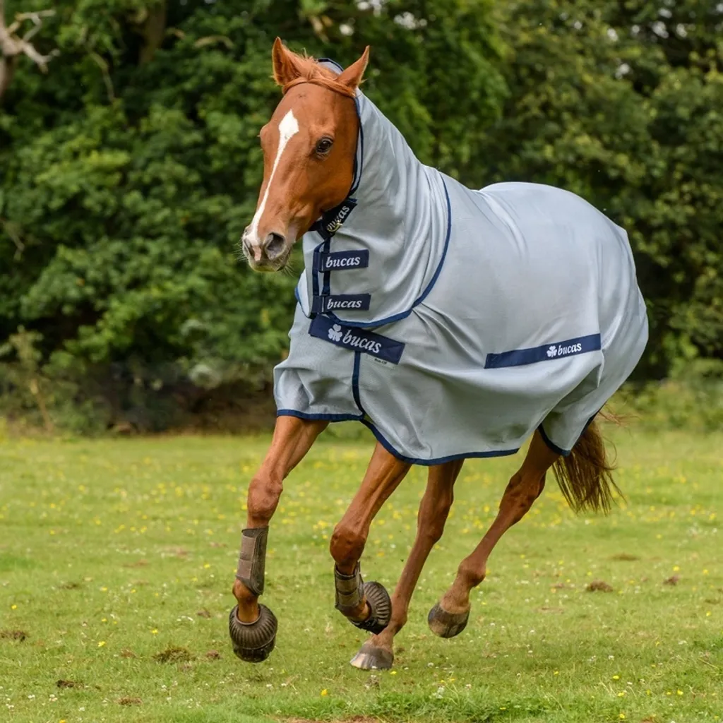 Coperta Anti-Mosche Bucas Buzz-Off PONY Argento | Massima Efficienza