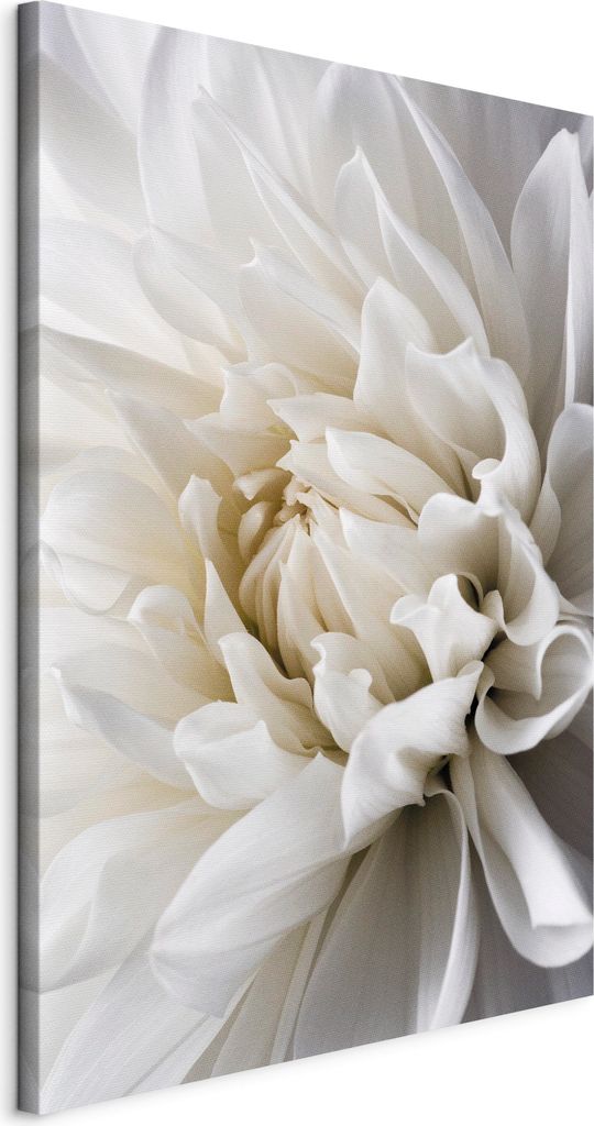 Italienischer Leinwand Leinwandbild - White Dahlia 80x120 cm Blumen b-B-0112-b-a