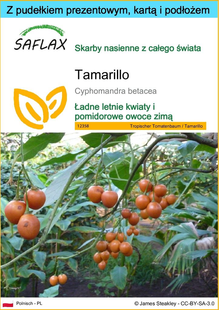 SAFLAX - Zestaw prezentowy - Tamarillo - 50 Nasiona - Z Zdjęcie produktu 