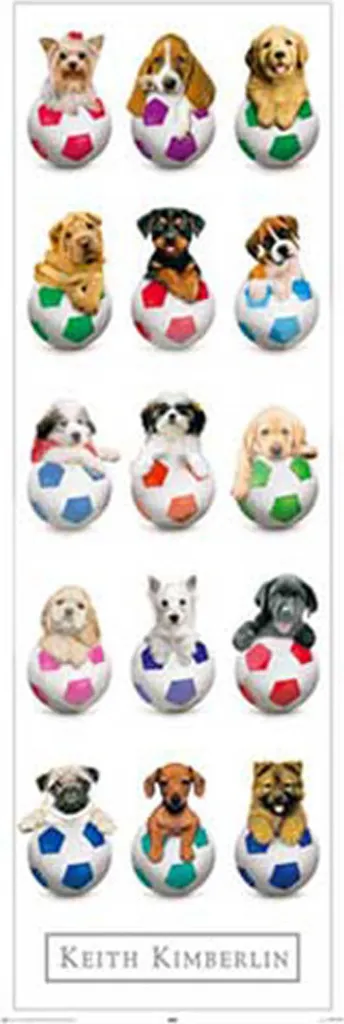 Keith Kimberlin Poster Porte Cani con Listelli Legno Nero 61cm