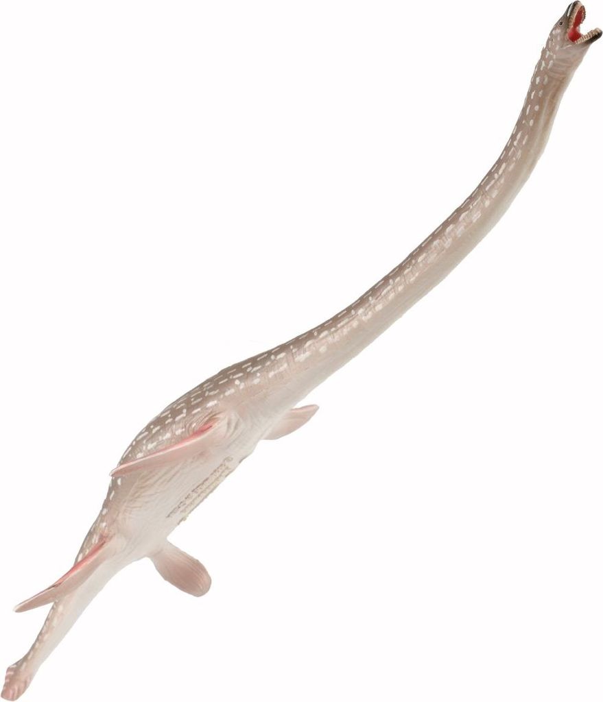 COLLECTA Elasmosaurus - (L) Image du produit 