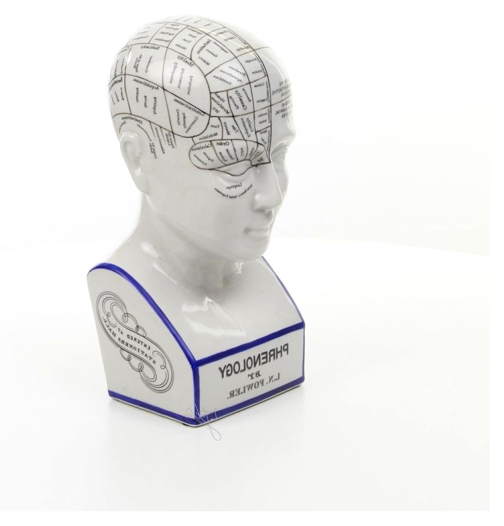 Kopfskulptur Büste Phrenologie Schädellehre Porzellan 30 cm Höhe 1,8 kg