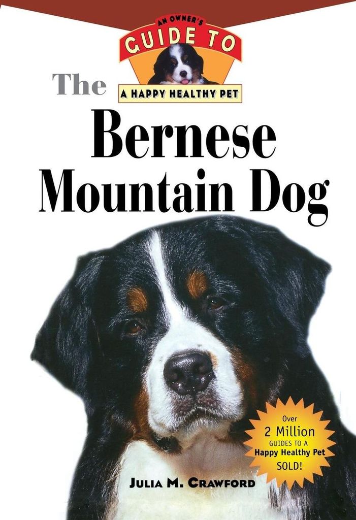 Bernese Mountain Dog