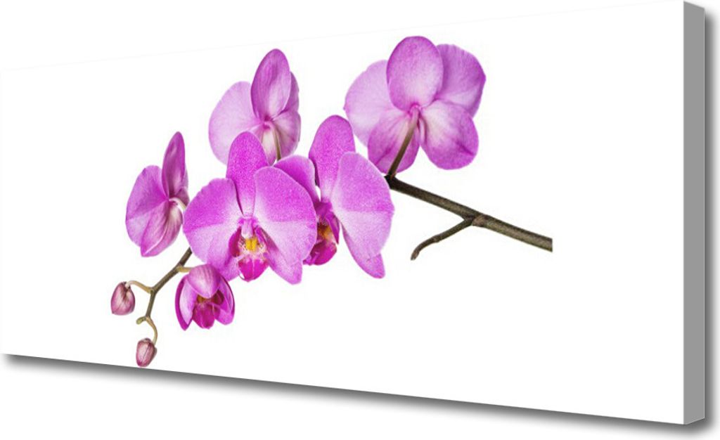 Tulup Leinwand-Bilder 125x50 Wandbild Canvas Kunstdruck Blumen Pflanzen