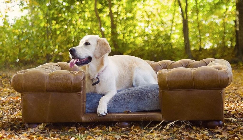 Casa Padrino Luxus Chesterfield Leder Hundebett Vintage Braun / Dunkelbraun / Grau 134 x 104 x H. 37 cm - Rechteckiges Echtleder Hundebett - Luxus ...