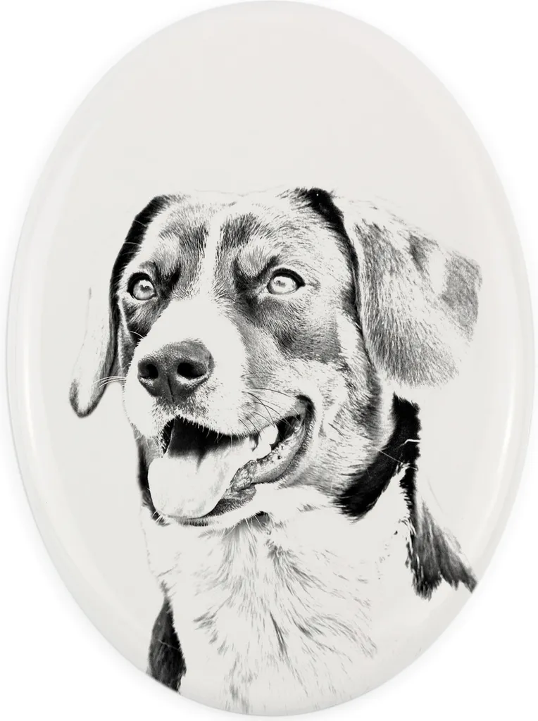 Targa Commemorativa Cane Pastore Appenzello Art-Dog | Lapide con Foto