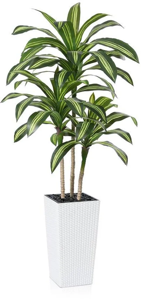 Dragonnier artificiel 180 cm résistant UV avec son pot blanc élégant