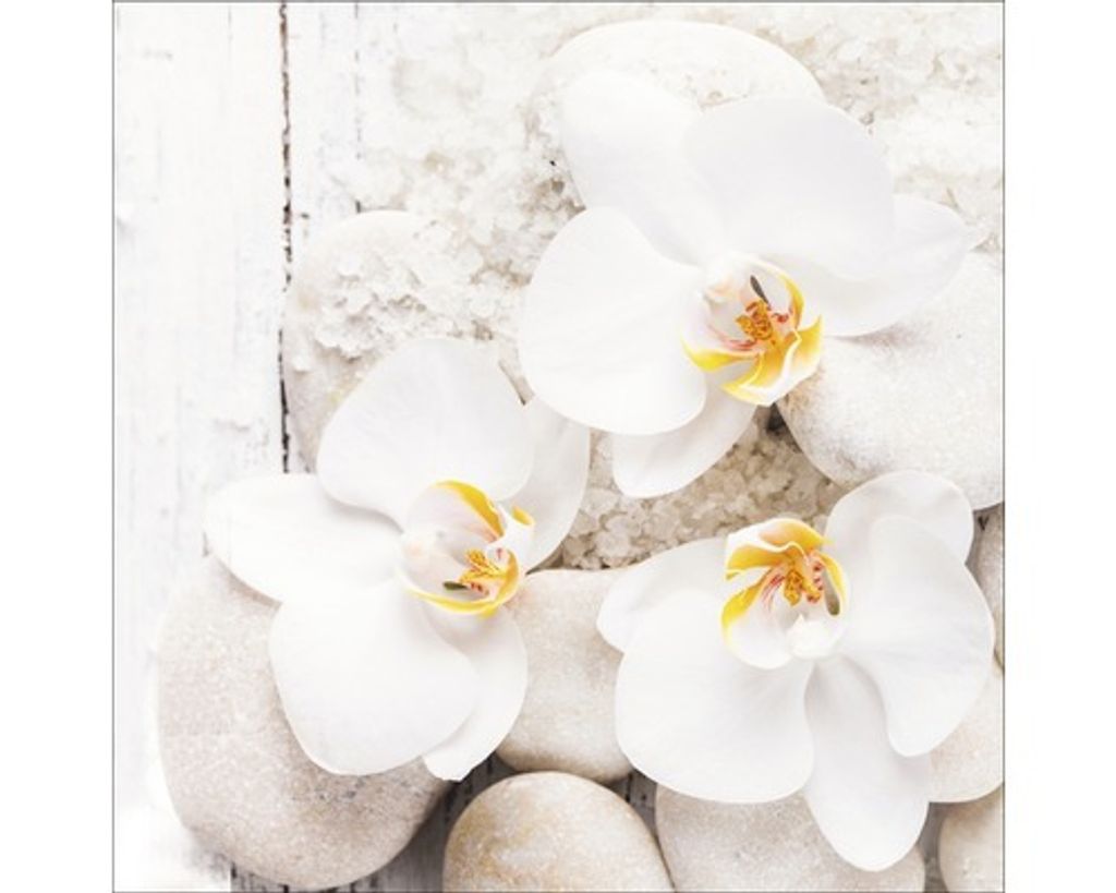 Glasbild White & Yellow Flowers III 20x20 cm