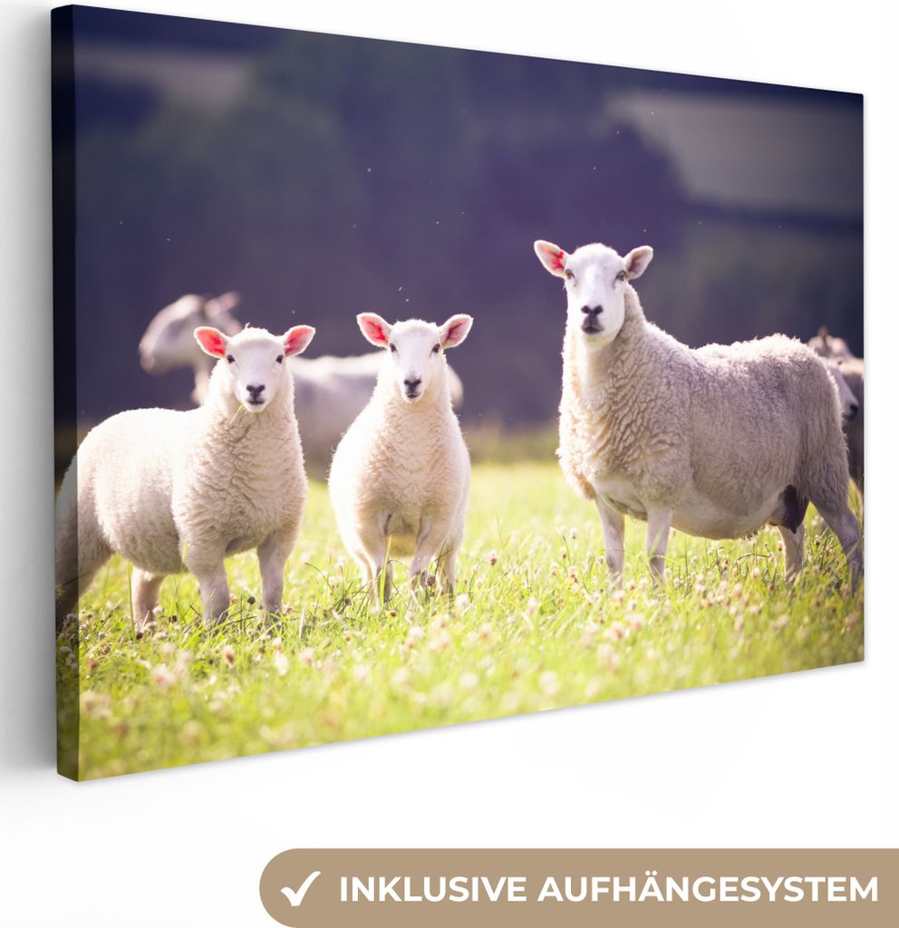 OneMillionCanvasses - Leinwandbilder - 150x100 cm, Schaf - Lamm - Blumen, Wandbilder Kunstdruck Wanddekoration