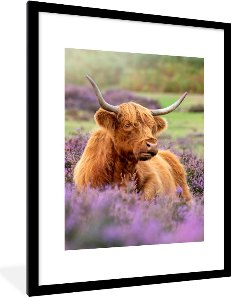 MuchoWow Gerahmtes Poster Schottischer Highlander - Braun - Büsche 60x80 cm - Poster mit Schwarzem Bilderrahmen Wandposter Rahmen Foto Bilder - ...