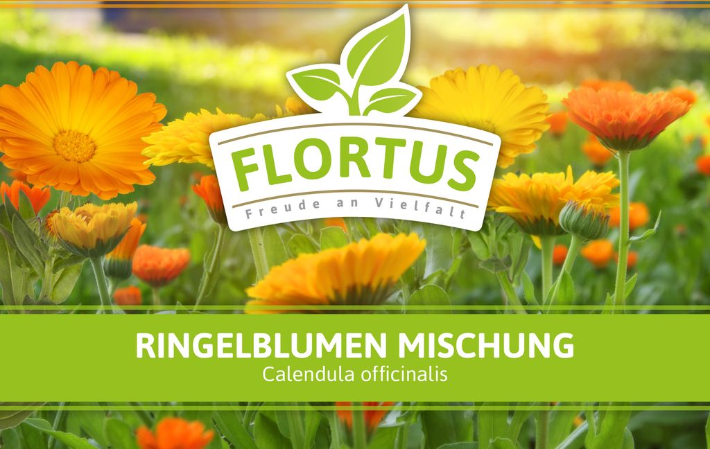 Ringelblumen Mischung | Blumenwiese von FLORTUS, Menge:100 g