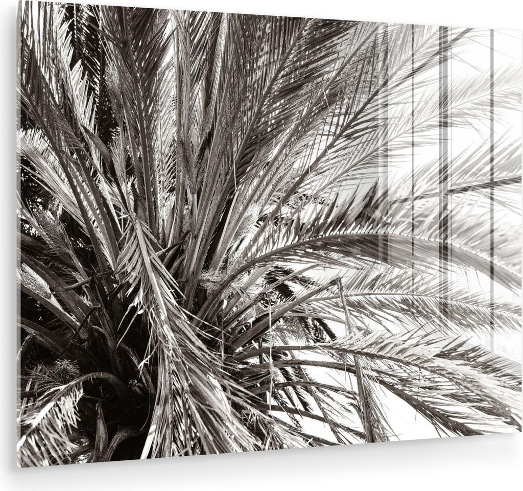 MuchoWow Glasbilder - Bilder auf Wandbild - Foto auf Glas Palme - Tropisch - Schwarz - Weiß 80x60 cm Wanddekoration aus Glas - Acrylglasbild - Acr...