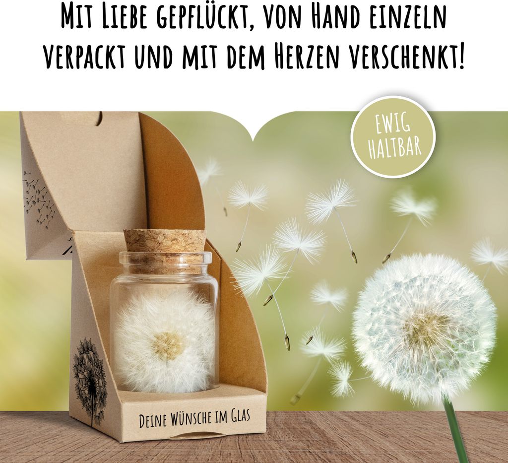 Wunscherfüller echte Pusteblume im Glas inkl. Geschenkbox | Produktbild 4