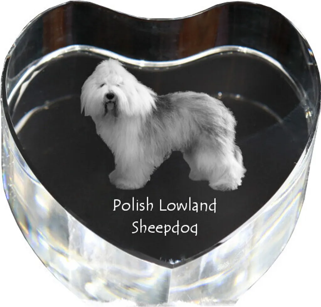 Berger Polonais des Plaines : Photo Chien Cristal Cœur par Art-Dog