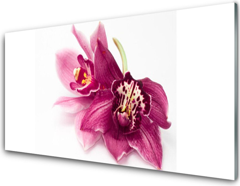 Acrylglasbilder 100x50 Wandbild Druck Blumen Pflanzen