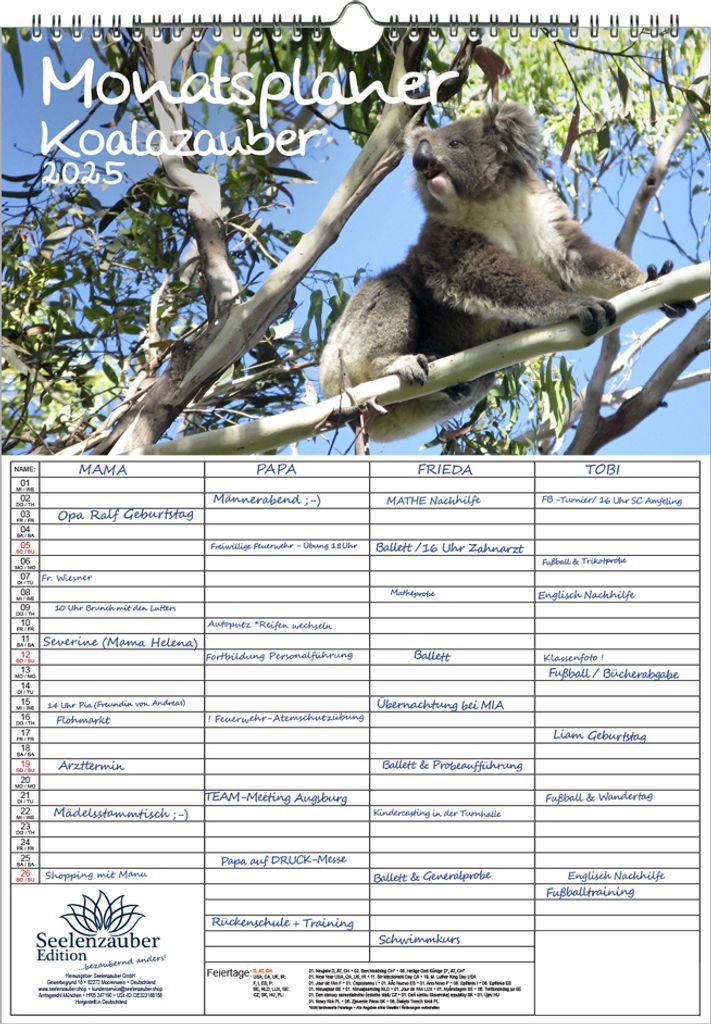 Koalazauber Planer Wandplaner Familienplaner 4 Spaltenplaner DIN A3 Kalender für 2025 Koalabären, Koala - Seelenzauber
