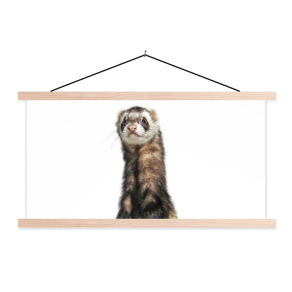 MuchoWow Textilposter Frettchen - Tiere - Fell 120x60 cm mit holzfarbenen Rahmen - Klemmleiste