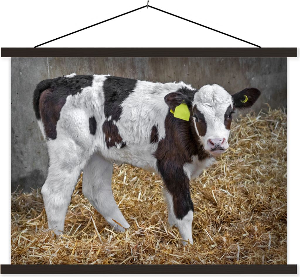 MuchoWow Textilposter Kuh - Stroh - Kalb - Tiere 120x90 cm mit schwarzem Rahmen - Aufhänger für Poster