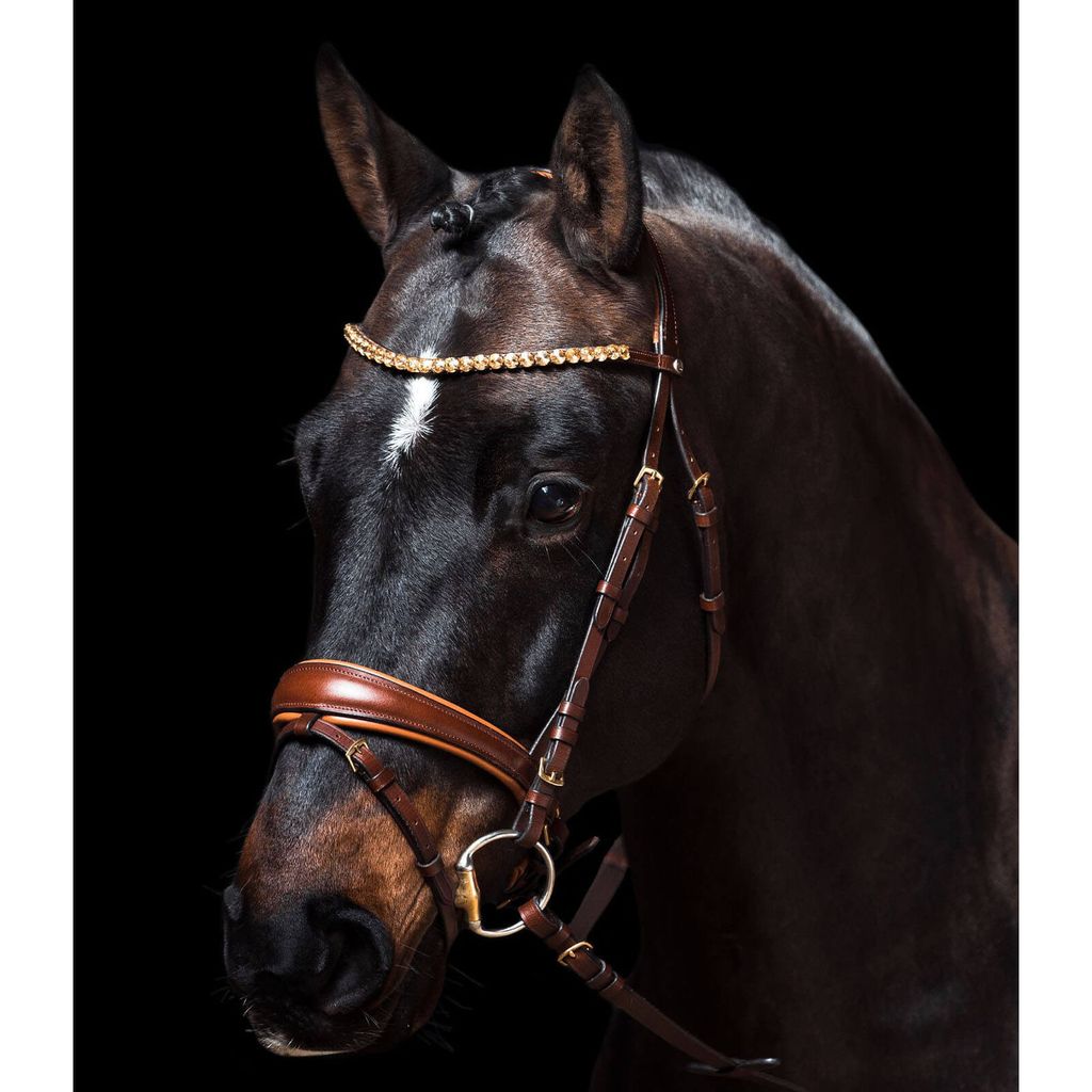 HKM Trense Marrakesh mit Zügeln Dunkelbraun Pony Produktbild 2