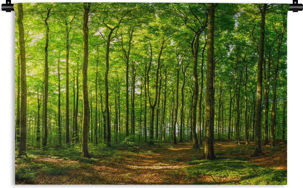 MuchoWow Wandteppich Wandbehang Wald - Baum - Pflanzen 90x60 cm Tapisserie Dekoration Wandtuch - Wandskulpturen - Bildteppich