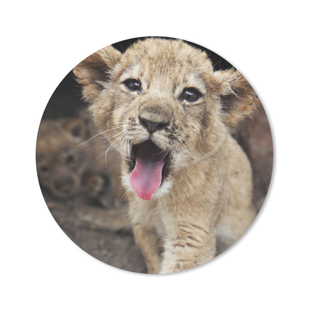 MuchoWow Mauspad Mousepad Jungtier - Löwen - Niedlich 40x40 cm - Mousepads - Maus Mat - Pad - Mausunterlage - Schreibtisch Accessoires